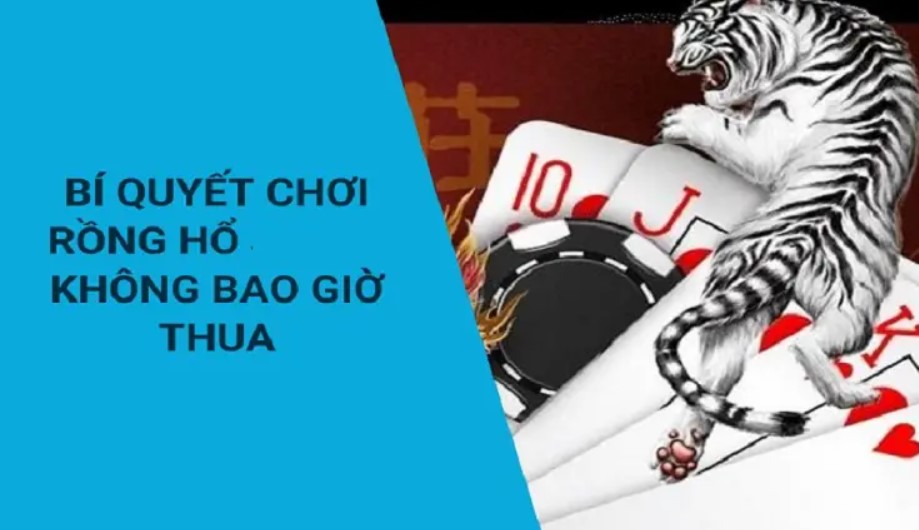 Áp dụng các chiến thuật hữu ích khi chơi rồng hổ Mu88 mỗi ngày