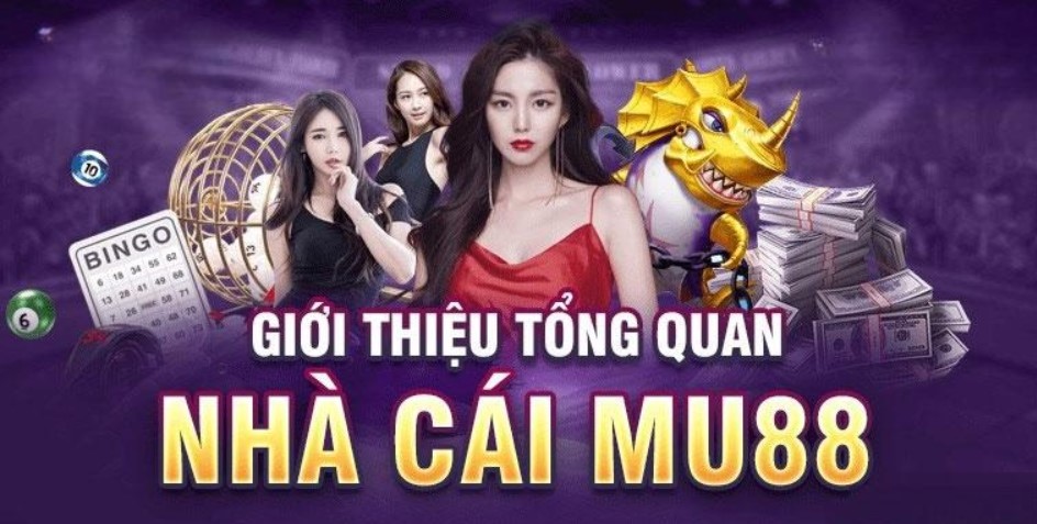 xbet có nhiều khuyến mãi bom tấn dành cho hội viên 